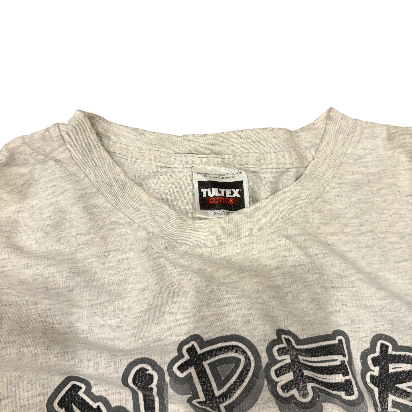 Vintage Raiders x Flintstones Tee — Gray