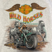 Harley Davidson Wild Horses