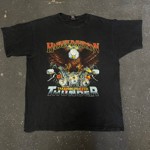 Harley Davidson Take Hold of Thunder (90s)