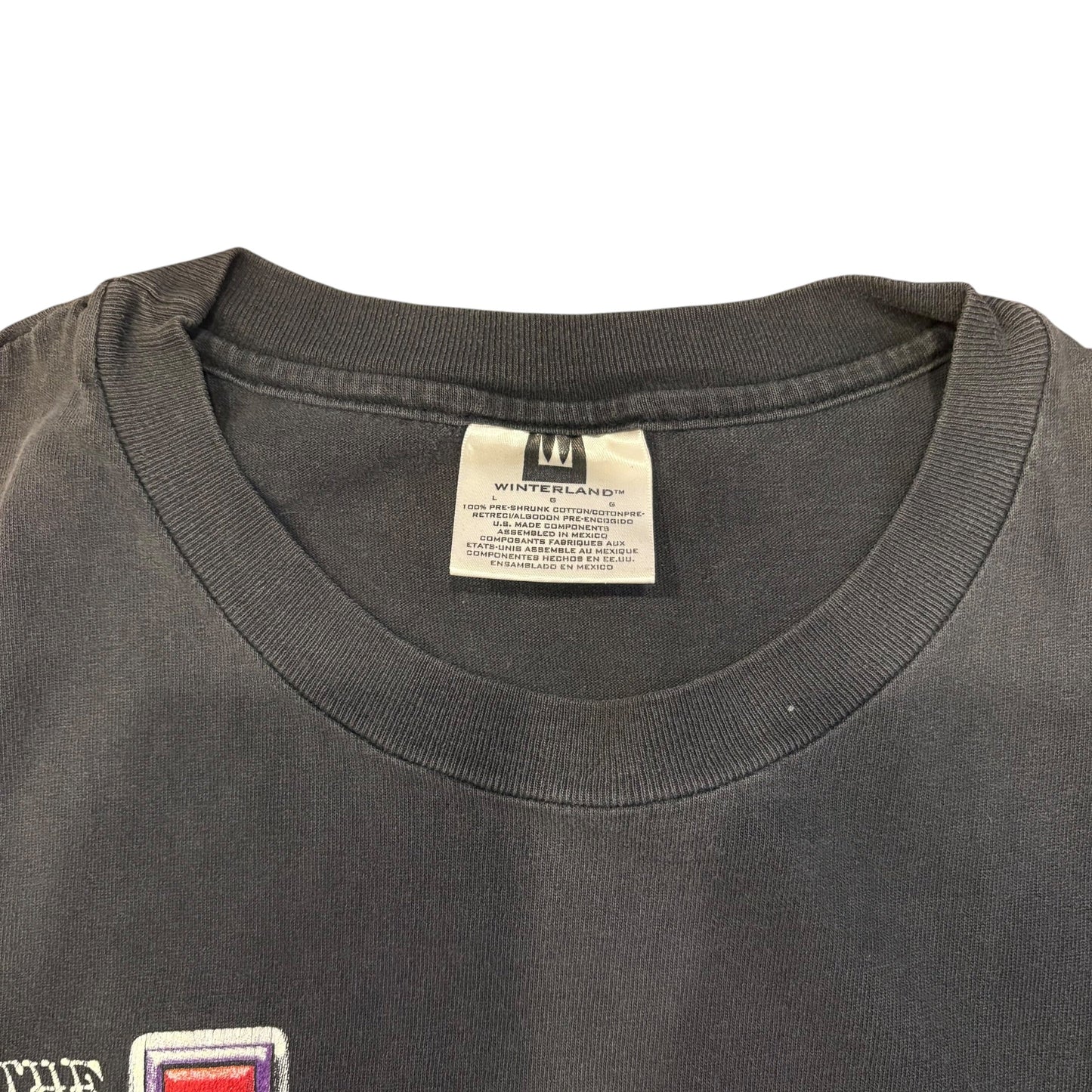 Vintage The Doors Jim Morrison Graphic Tee
