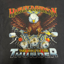 Harley Davidson Take Hold of Thunder (90s)