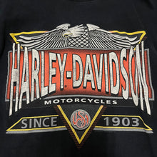 Harley Davidson Motorcyles (90s)