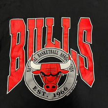 Chicago Bulls Logo (1990)